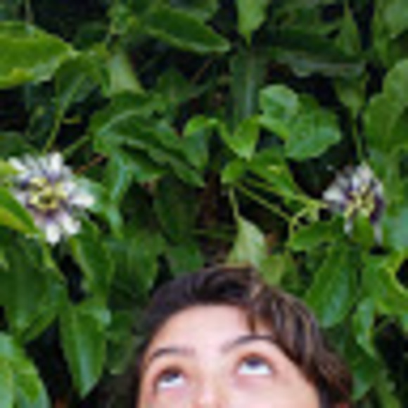 Meet your Posher, Vienna - Picture 1 of 1